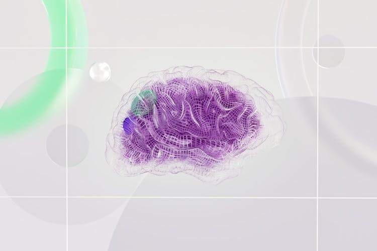 blog/2024/07/pexels-googledeepmind-17483868.jpg